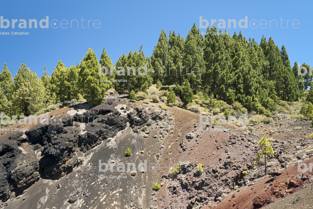 Path Routes of the Volcanoes, La Palma
