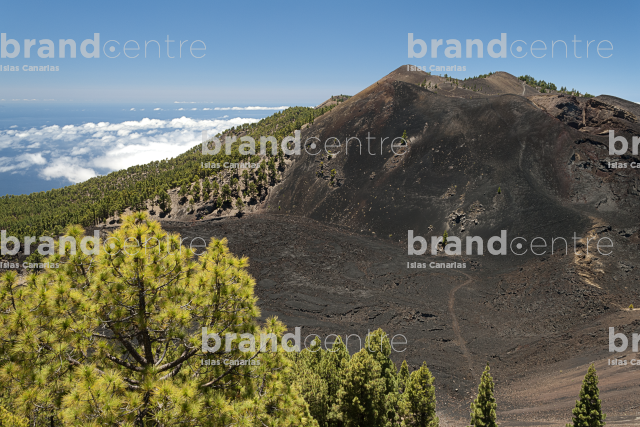 Path Routes of the Volcanoes, La Palma Path Routes of the Volcanoes, La Palma