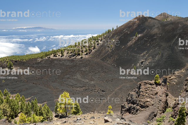 Path Routes of the Volcanoes, La Palma