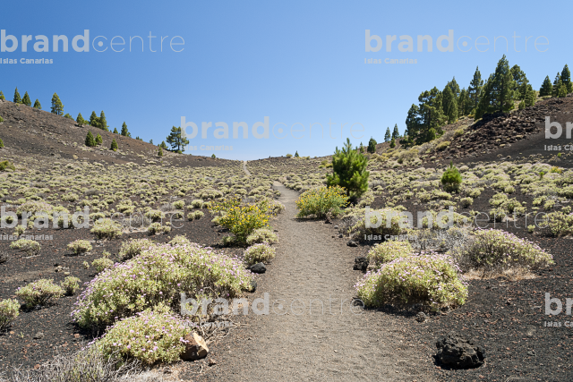 Path Routes of the Volcanoes, La Palma