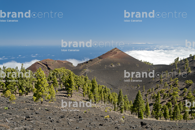 Path Routes of the Volcanoes, La Palma Path Routes of the Volcanoes, La Palma