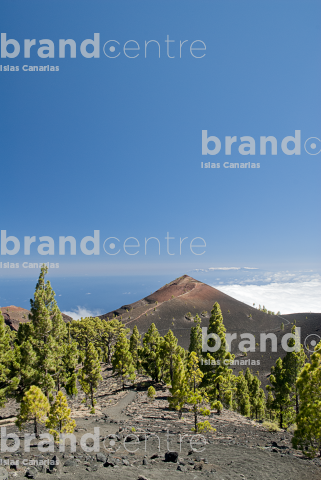 Path Routes of the Volcanoes, La Palma Path Routes of the Volcanoes, La Palma