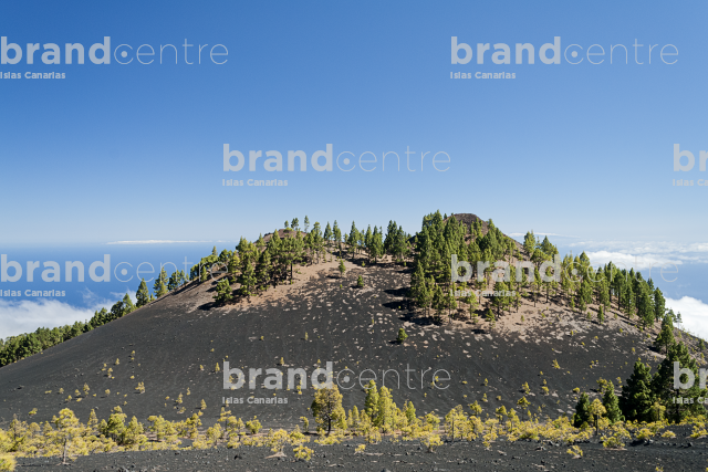 Sendero Rutas de los Volcanes, La Palma