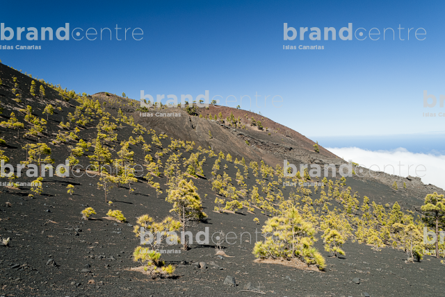 Path Routes of the Volcanoes, La Palma Path Routes of the Volcanoes, La Palma