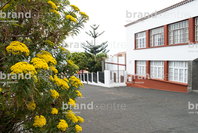 Path Routes of the Volcanoes, La Palma Path Routes of the Volcanoes, La Palma