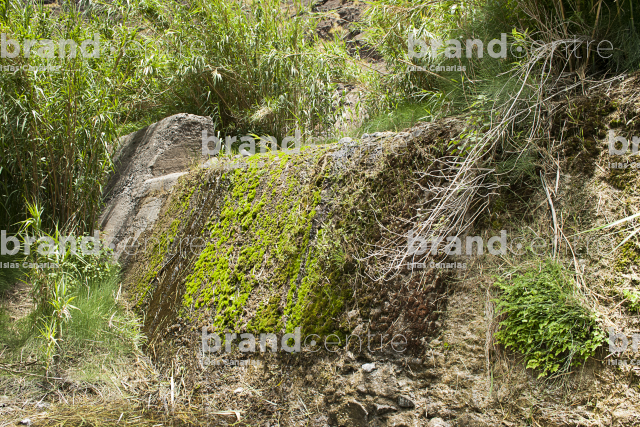 Masca ravine trail, Tenerife Masca ravine trail, Tenerife