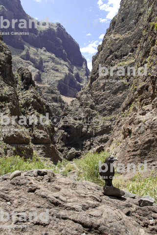 Sendero barranco de Masca, Tenerife Sendero barranco de Masca, Tenerife