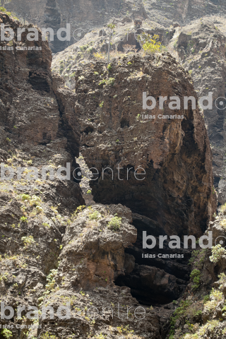 Masca ravine trail, Tenerife