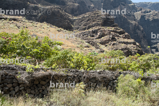 Masca ravine trail, Tenerife