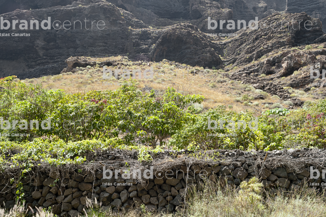 Masca ravine trail, Tenerife