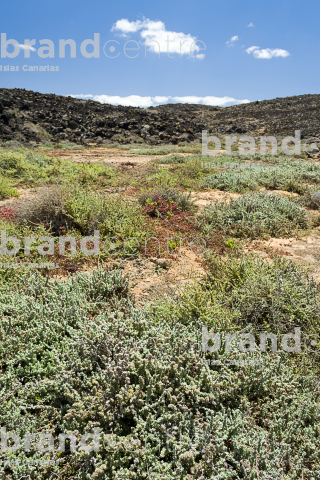 Laja del sol trail, Lanzarote Laja del sol trail, Lanzarote
