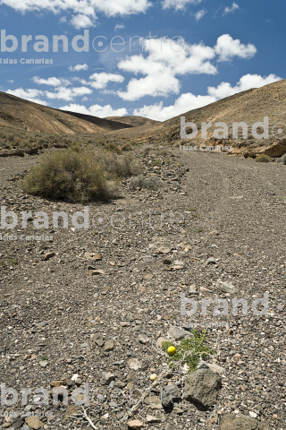 Path of the Ajaches, Lanzarote