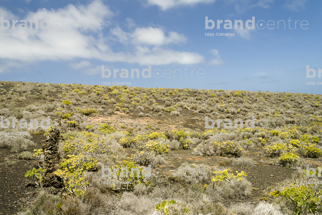 Path from Ye to Órzola. Lanzarote Path from Ye to Órzola. Lanzarote