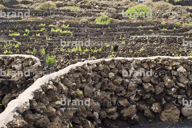 Path from Ye to Órzola. Lanzarote Path from Ye to Órzola. Lanzarote