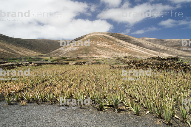 Path from Ye to Órzola. Lanzarote