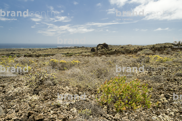 Path from Ye to Órzola. Lanzarote