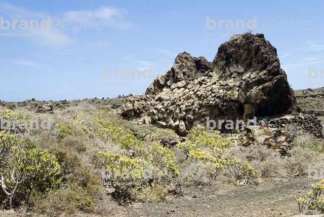 Path from Ye to Órzola. Lanzarote Path from Ye to Órzola. Lanzarote