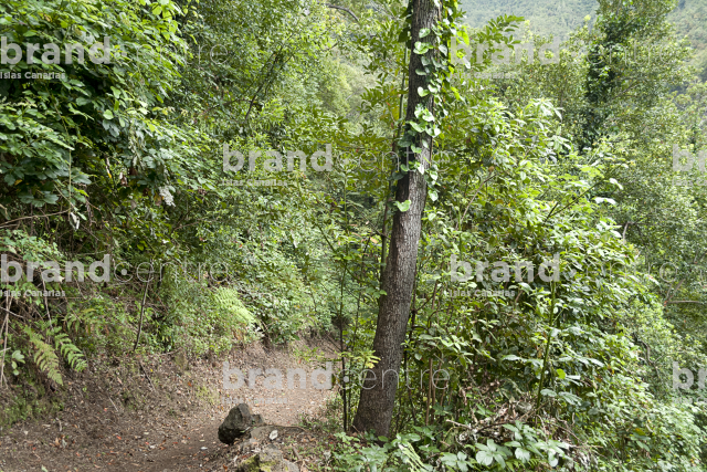 Sendero el Cubo de la Galga