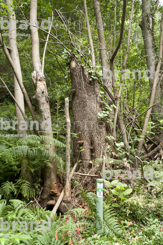 Sendero el Cubo de la Galga