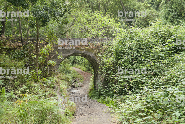 Trail the Cube of the Galga