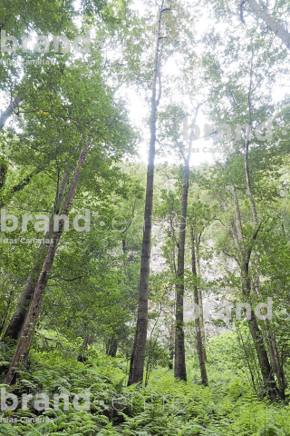 Sendero el Cubo de la Galga