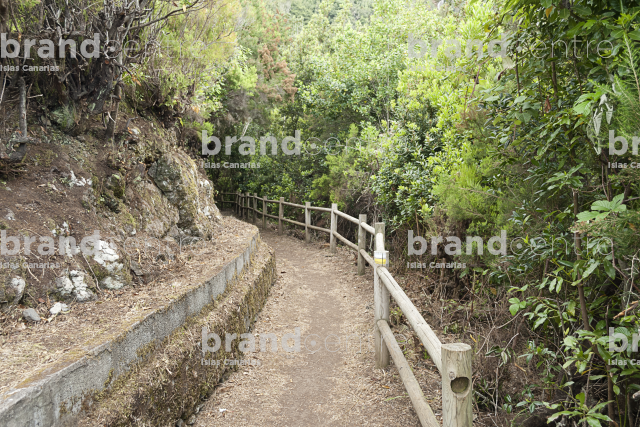 Trail the Cube of the Galga