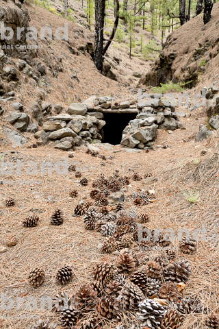 La Traviesa Trail