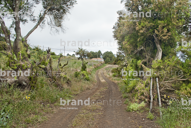La Traviesa Trail