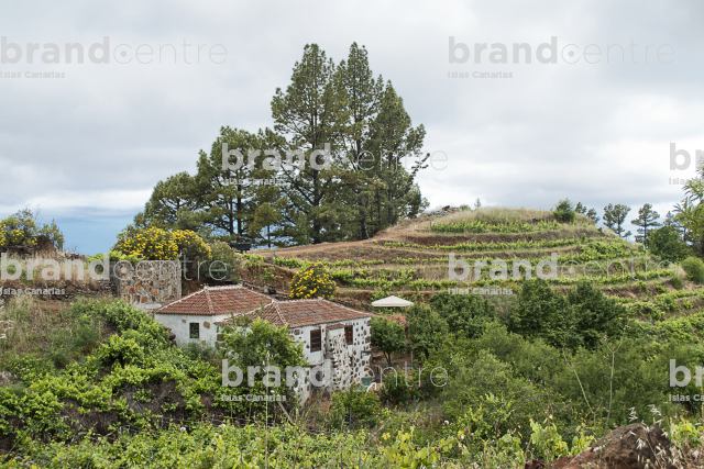 Sendero La Traviesa