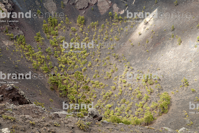 Volcanoes Trail of Fuencaliente, La Palma Volcanoes Trail of Fuencaliente, La Palma
