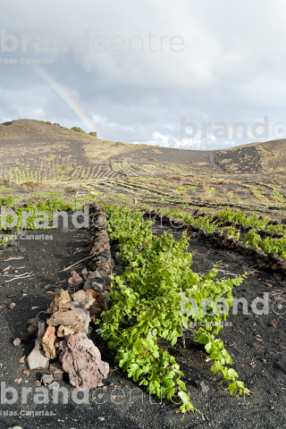 Sendero Volcanes de Fuencaliente, La Palma