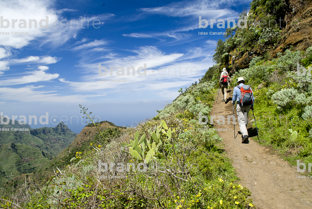 Cruz del Carmen Trail- Punta Hidalgo Cruz del Carmen Trail- Punta Hidalgo