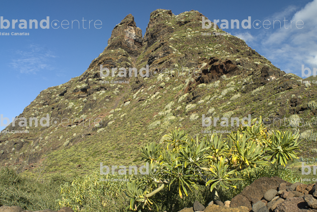 Cruz del Carmen Trail- Punta Hidalgo Cruz del Carmen Trail- Punta Hidalgo
