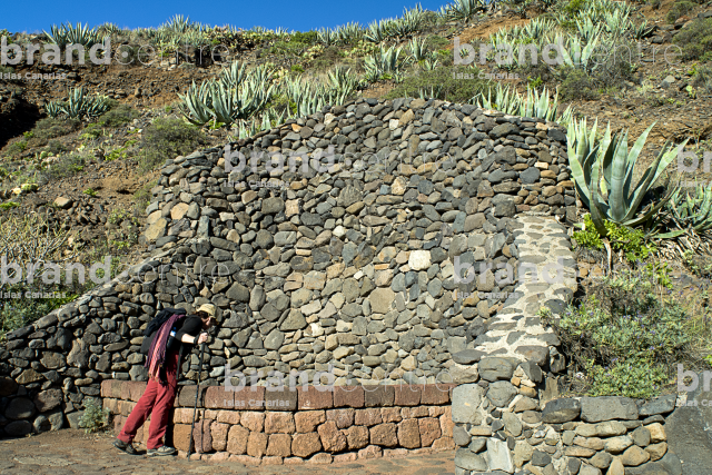 Cruz del Carmen Trail- Punta Hidalgo Cruz del Carmen Trail- Punta Hidalgo