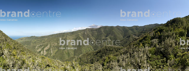 Monte del Agua Trail, Tenerife