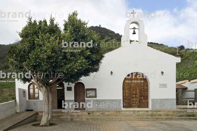 Monte del Agua Trail, Tenerife