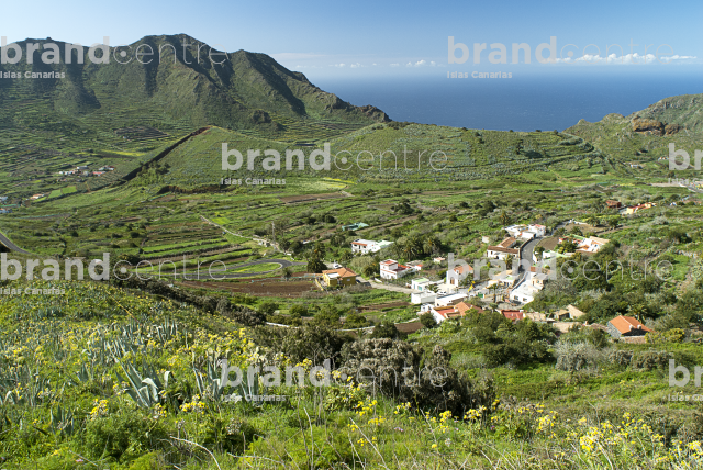 Monte del Agua Trail, Tenerife Monte del Agua Trail, Tenerife