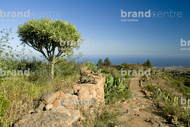 Las Vegas Circular Trail, Tenerife