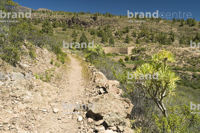 Las Vegas Circular Trail, Tenerife