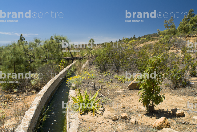 Las Vegas Circular Trail, Tenerife Las Vegas Circular Trail, Tenerife