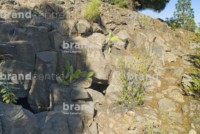 Las Vegas Circular Trail, Tenerife