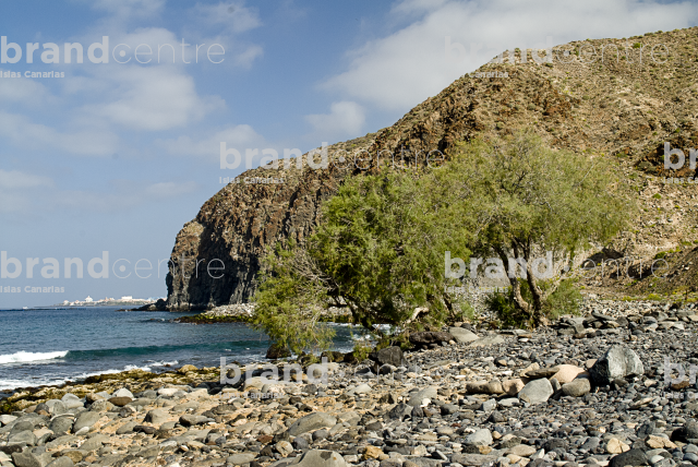 Sendero de Rasca, Tenerife Sendero de Rasca, Tenerife