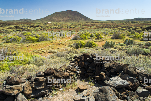 Sendero de Rasca, Tenerife
