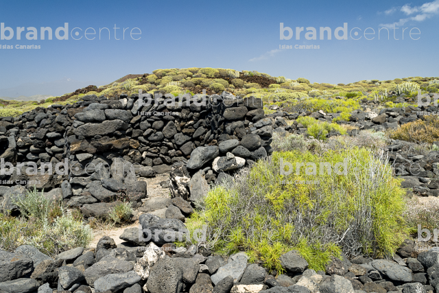 Sendero de Rasca, Tenerife