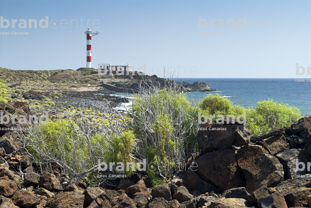 Trail of Rasca, Tenerife Trail of Rasca, Tenerife