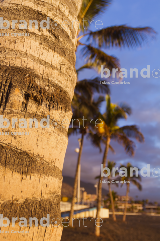 Playa de Puerto Naos