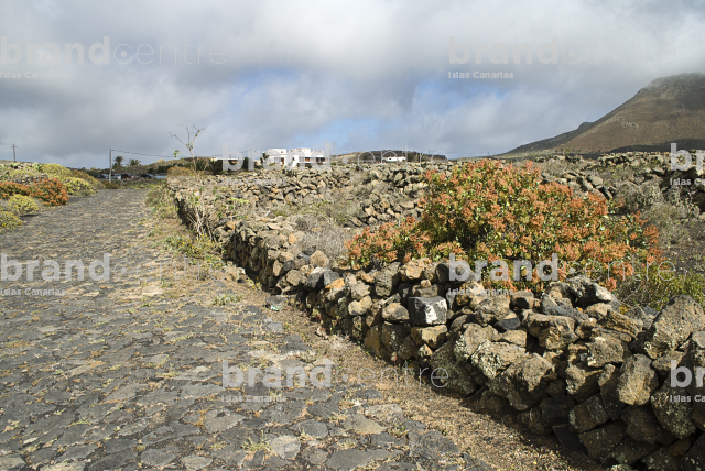 Sendero Los Gracioseros