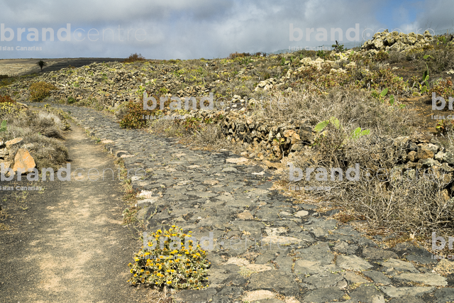 Sendero Los Gracioseros