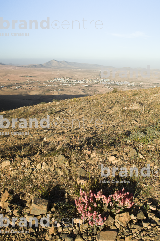 Betancuria Trail - Valleys of Ortega