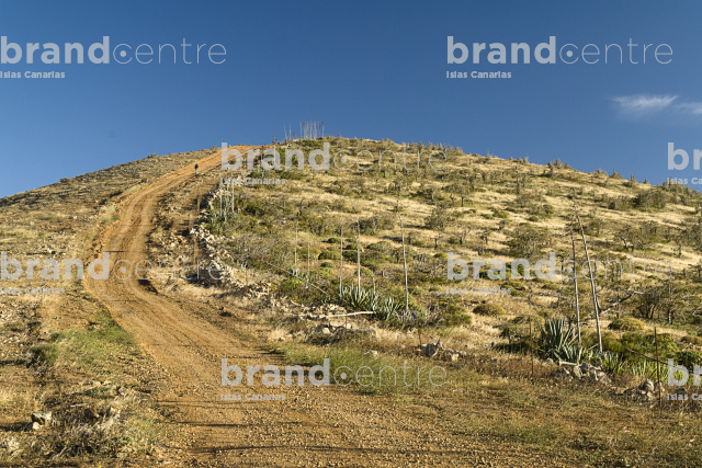 Sendero Betancuria - Valles de Ortega